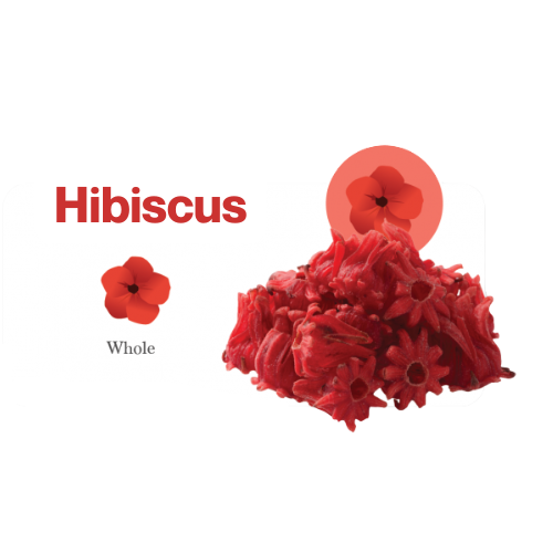 Hibiscus